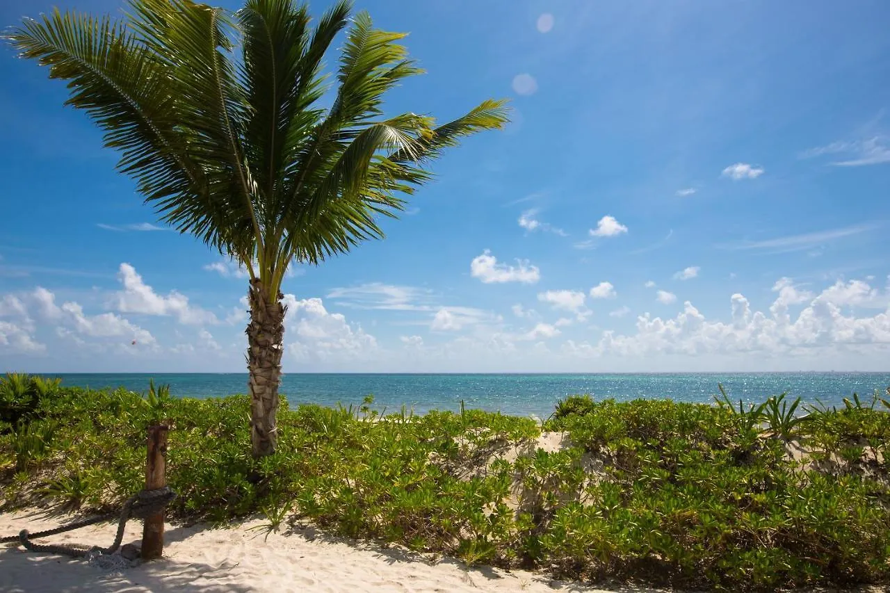 Condo Boutique Oceanfront Playa del Carmen Aparthotel
