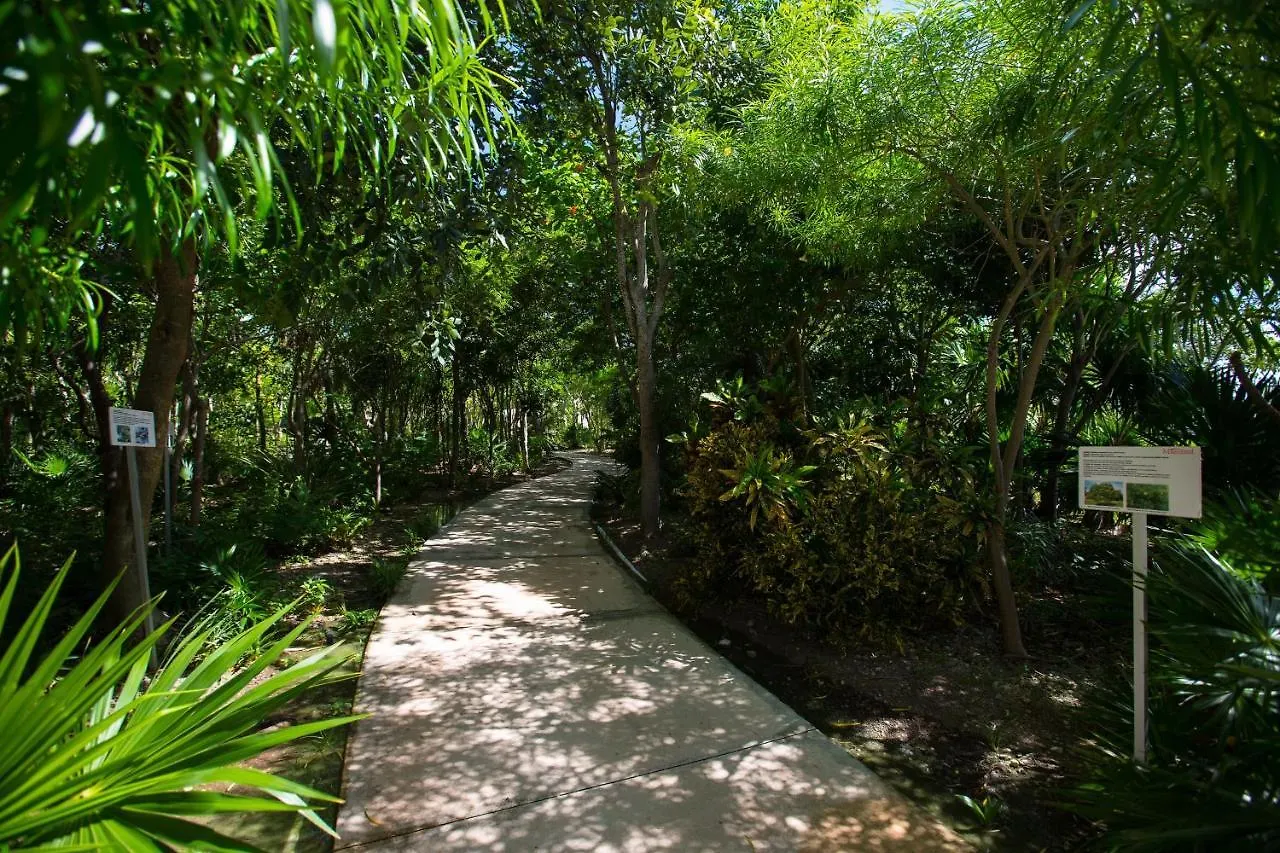 Aparthotel Condo Boutique Oceanfront Playa del Carmen